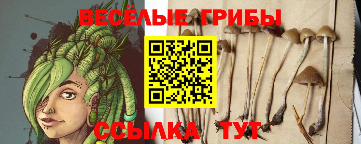 Орехово-Зуево  Псилоцибиновые грибы Magic Shrooms  Галлюциногенные грибы Psilocybine cubensis  Вход с VPN 